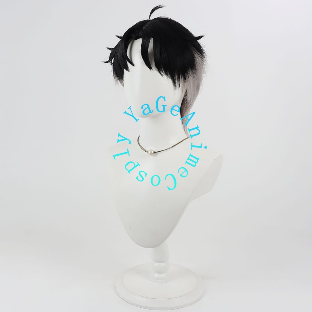 Parrucca Cosplay Mao Hua Wen c - Anime Cosplay Realistic recensione e prezzo