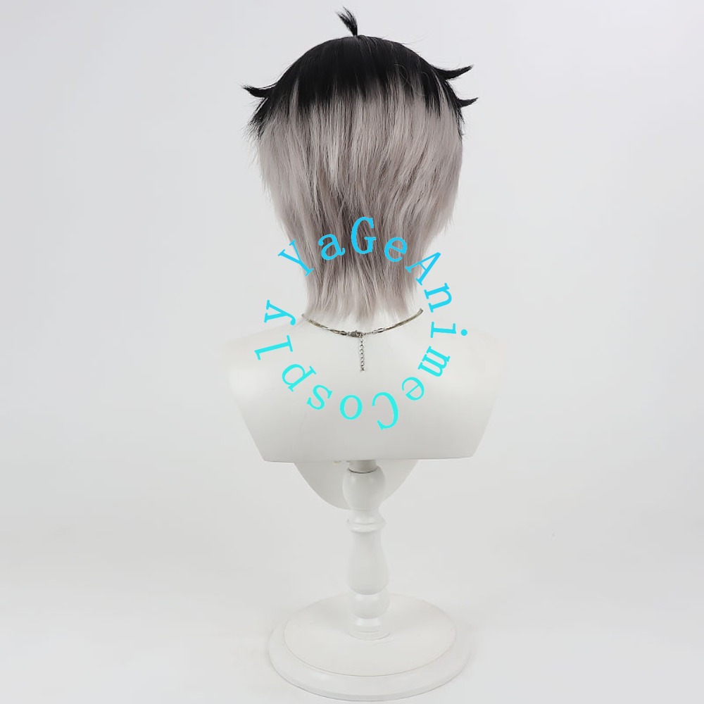 Parrucca Cosplay Mao Hua Wen c - Anime Cosplay Realistic recensione e prezzo